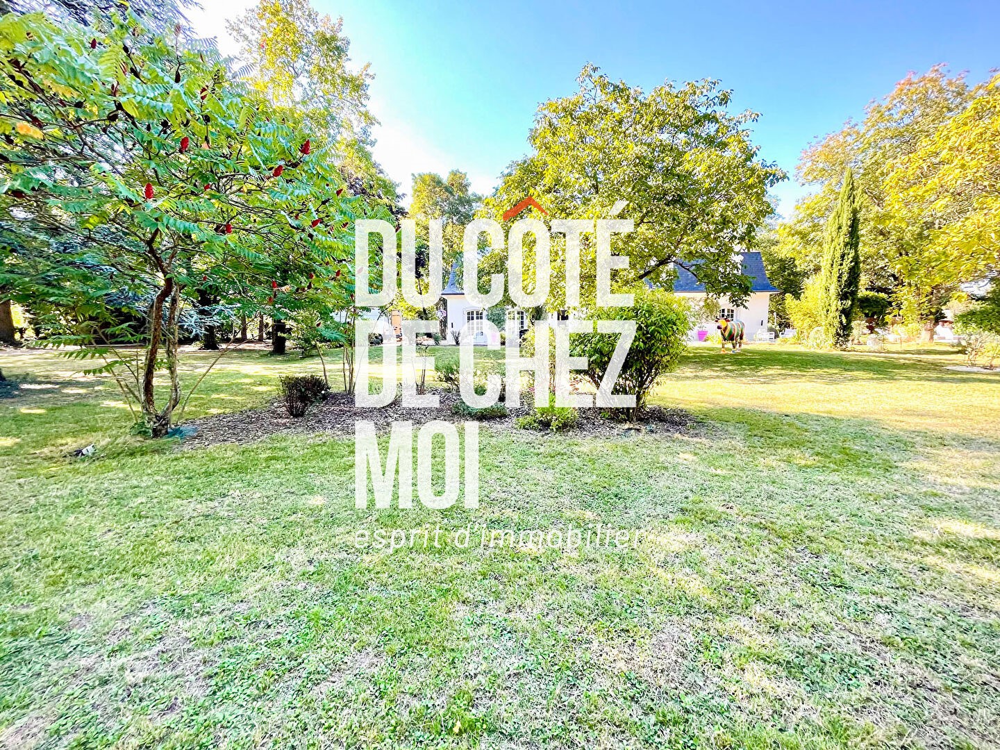 Maison de luxe à vendre dans le quartier Basses-Barolles