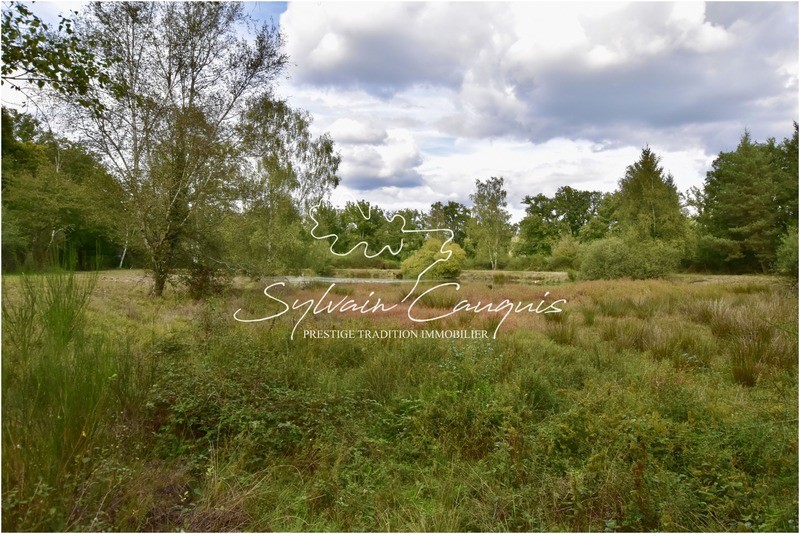 proprietà in vendita Ménétréol-sur-Sauldre