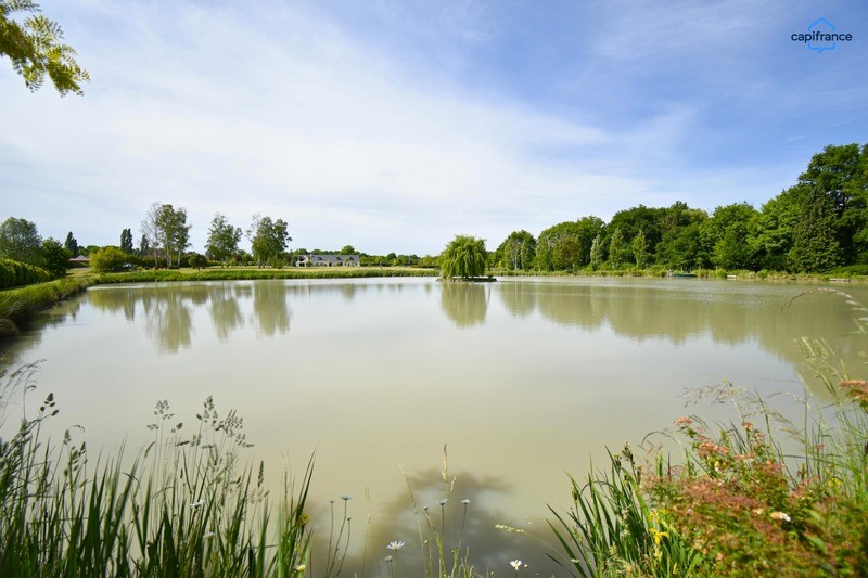 Casa contemporanea in vendita Vernou-en-Sologne