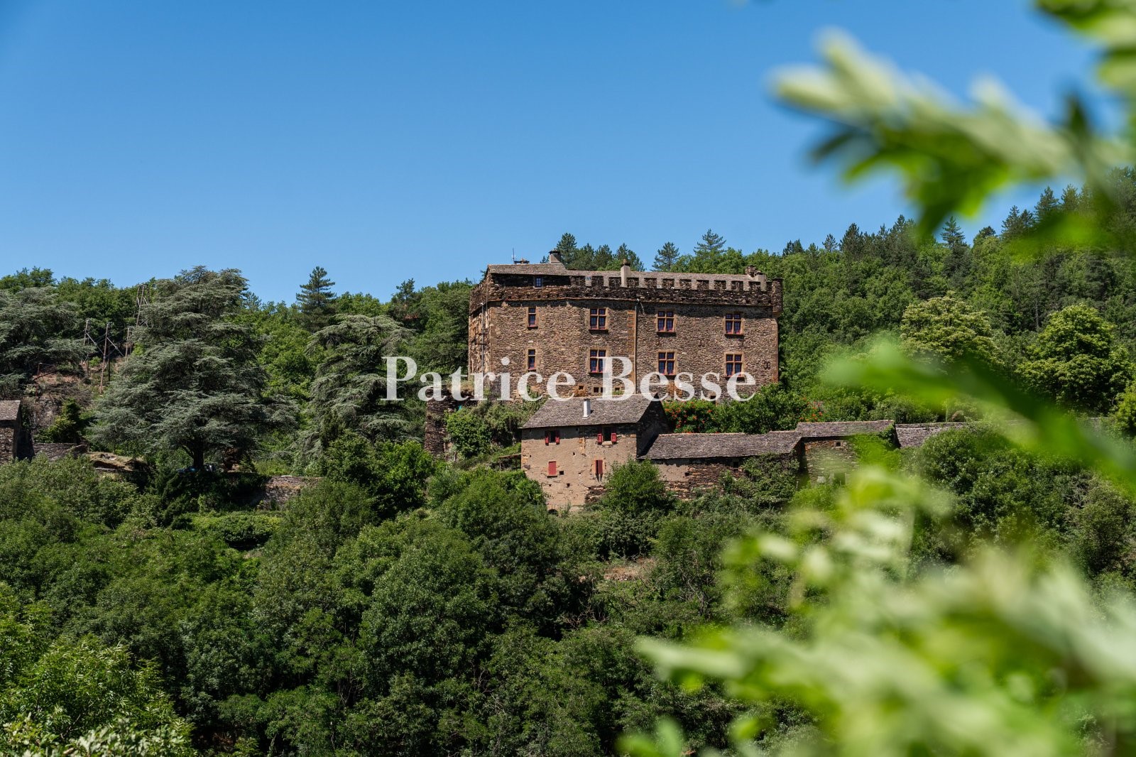 Castle for sale in Florac