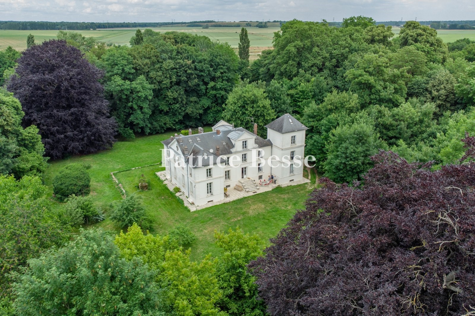 Castle for sale in Férolles-Attilly