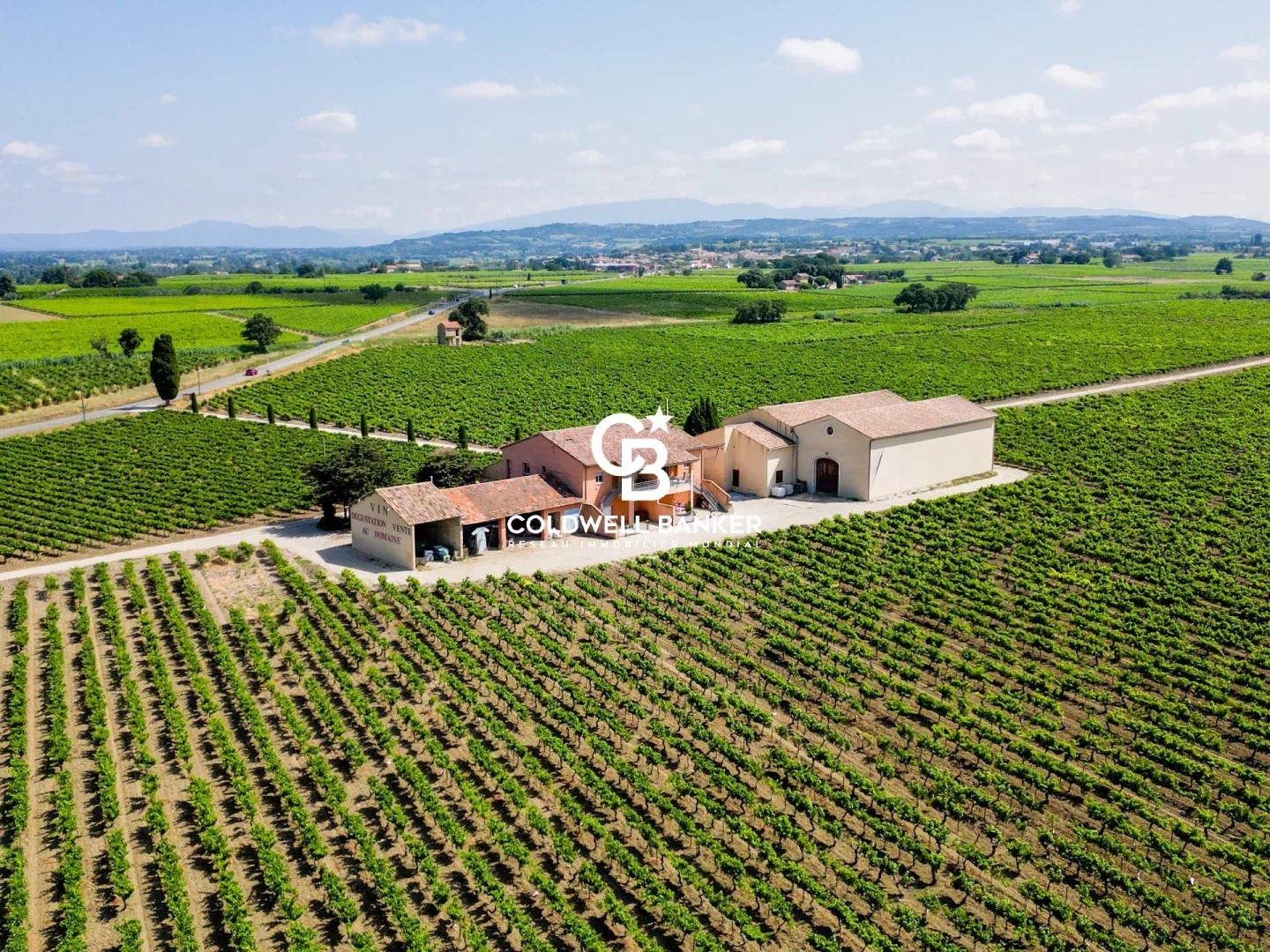Propriété viticole à vendre à Visan
