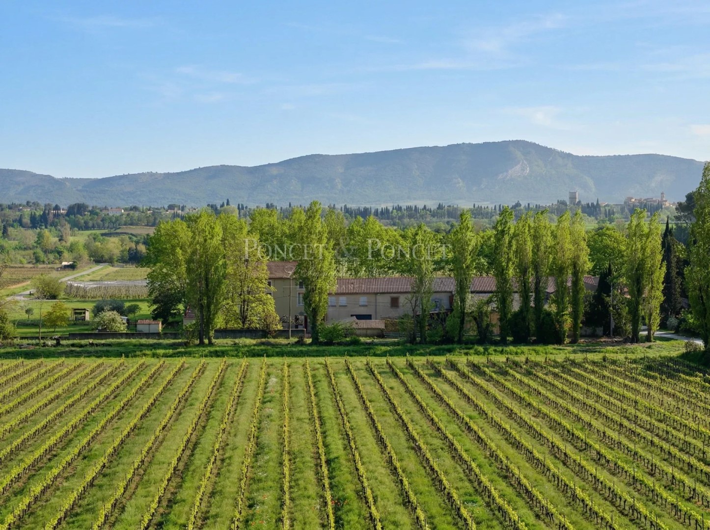 Weingut zu verkaufen Puichéric