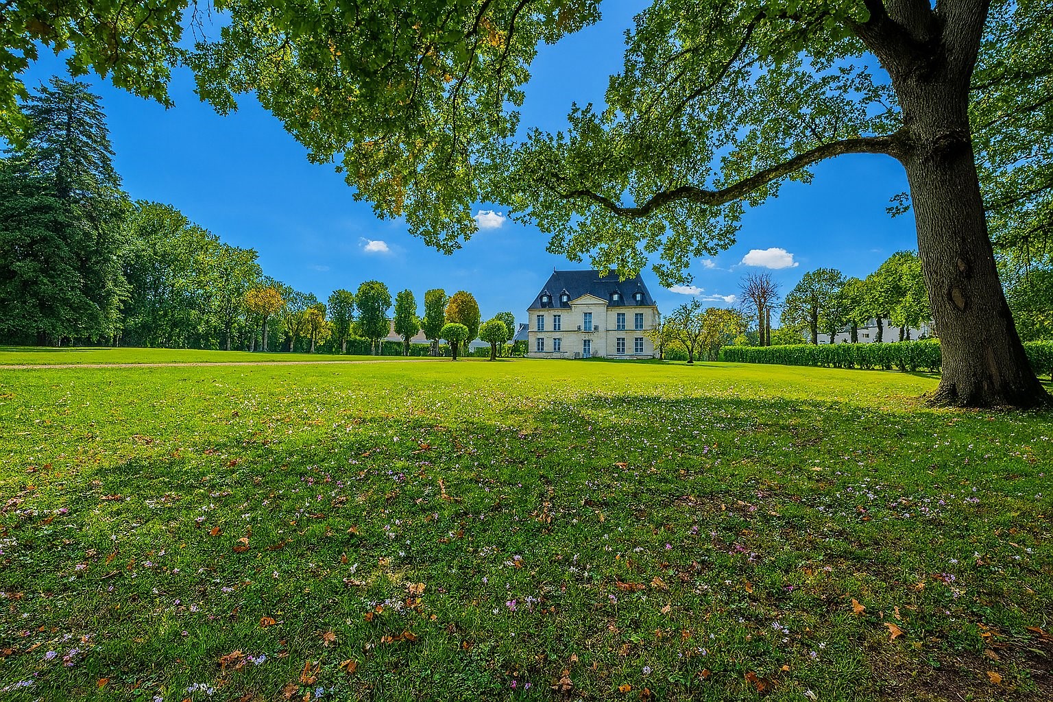 Herenhuis te koop in Grammont