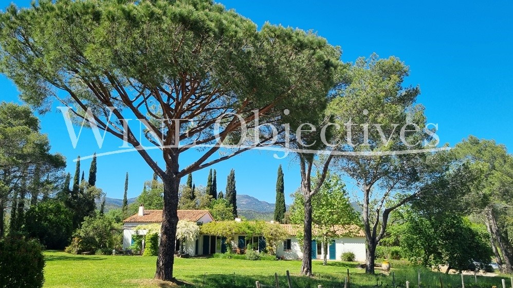 Wijndomein te koop in Saint-Tropez