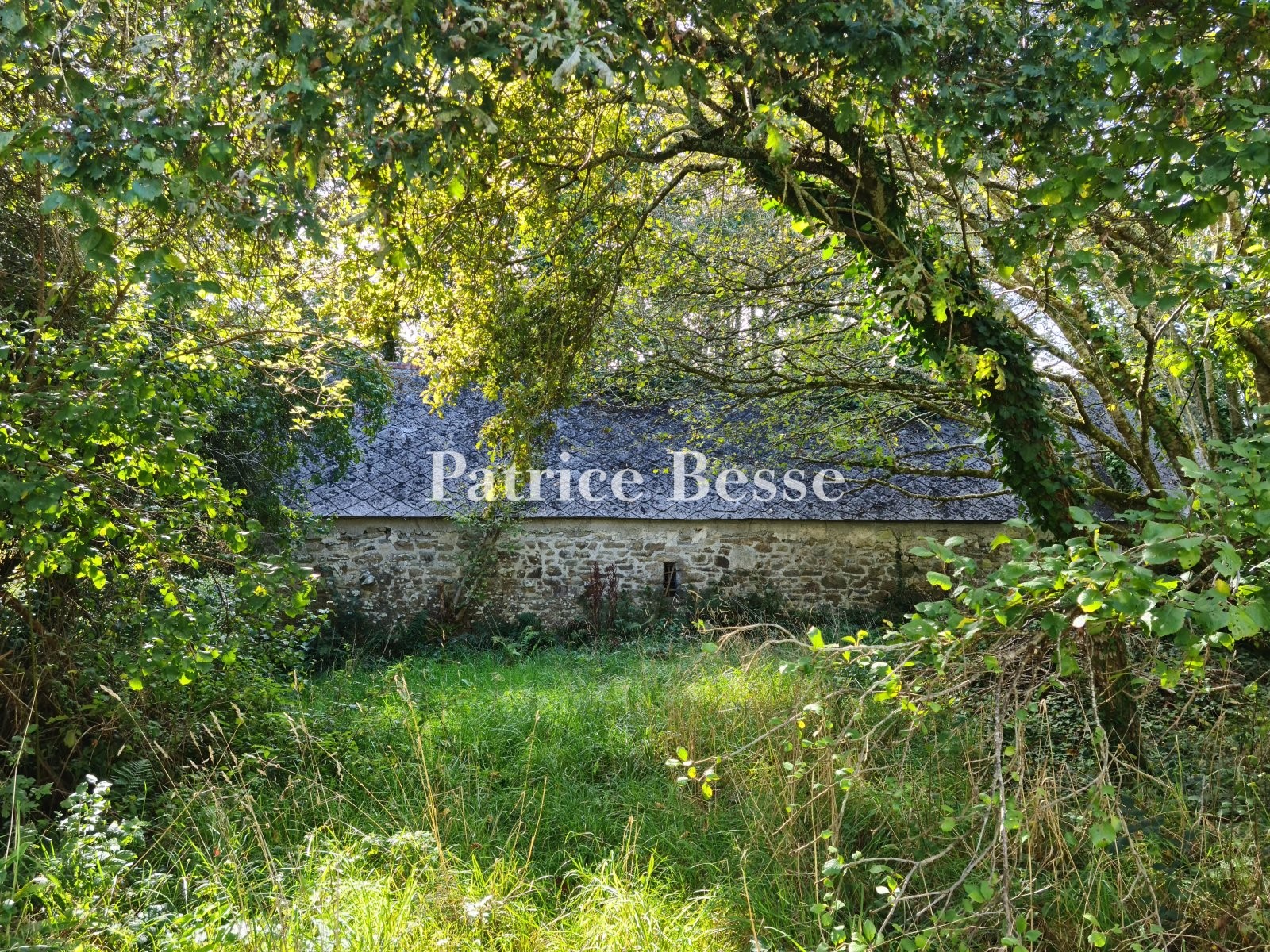 Hunting property for sale in Quimper