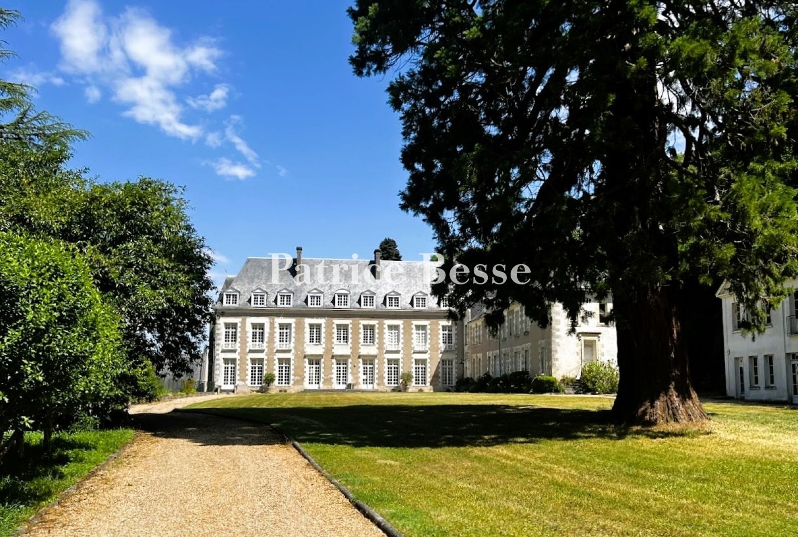 Castle for sale in Tours