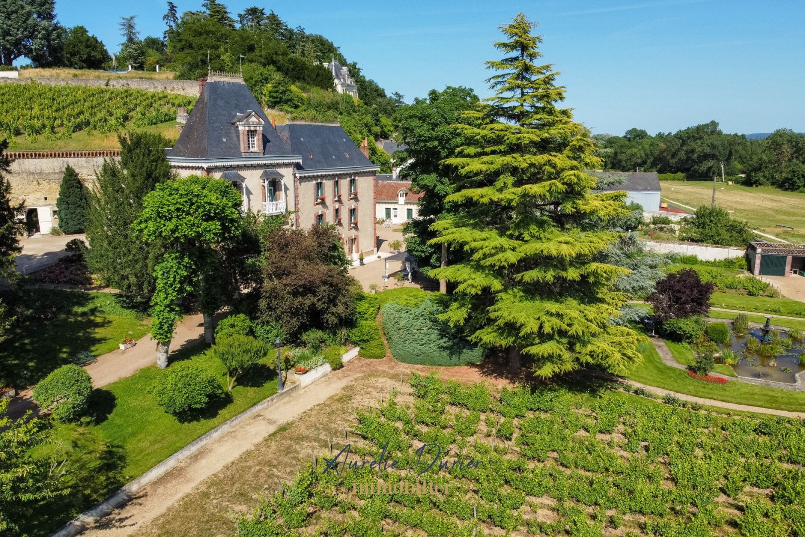 Luxury villa for sale in Vernou-sur-Brenne