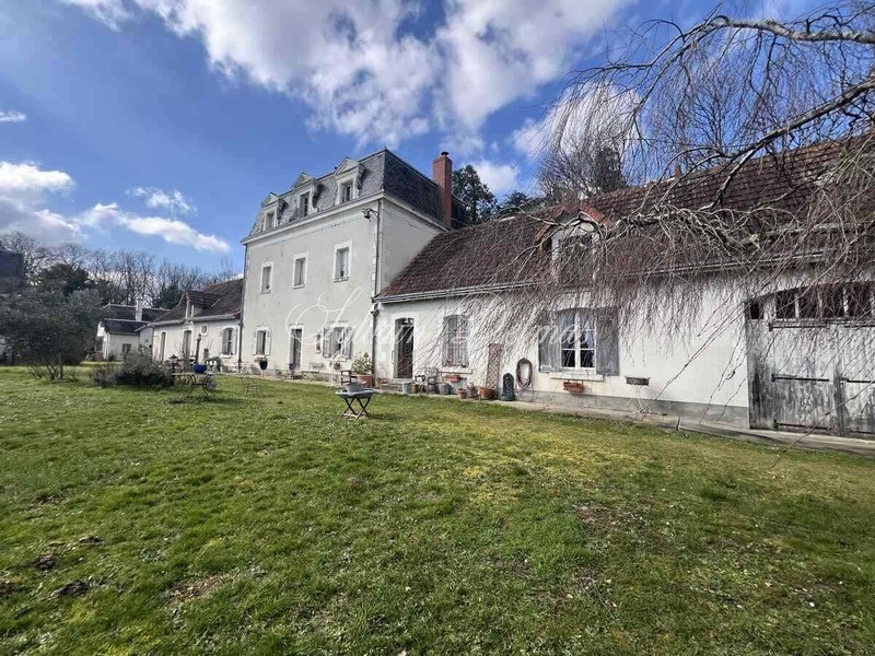 Castle for sale in Châtillon-sur-Indre