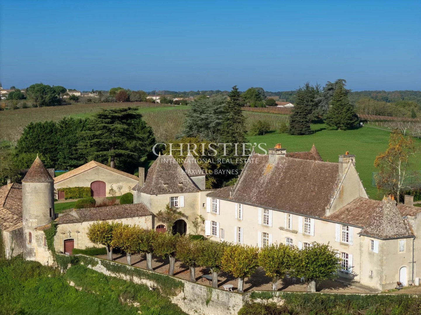 Wine Property for sale in Castillon-la-Bataille