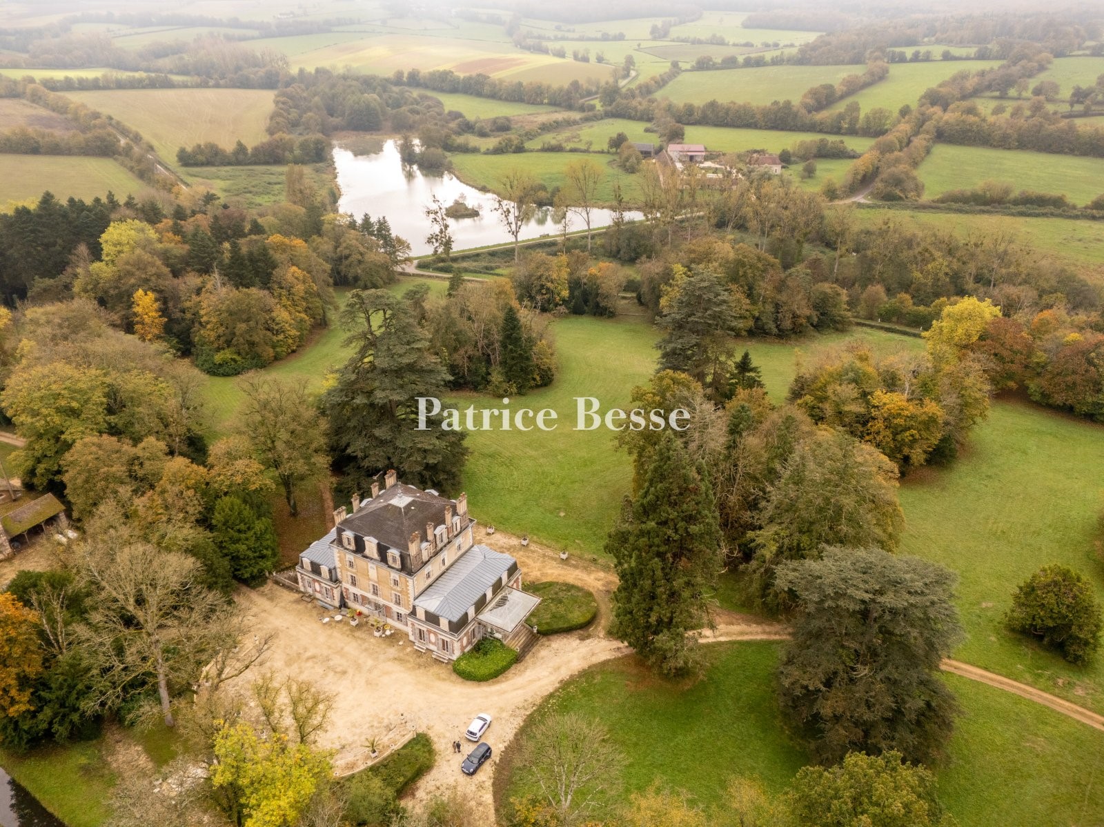 Castle for sale in Saint-Sauveur-en-Puisaye