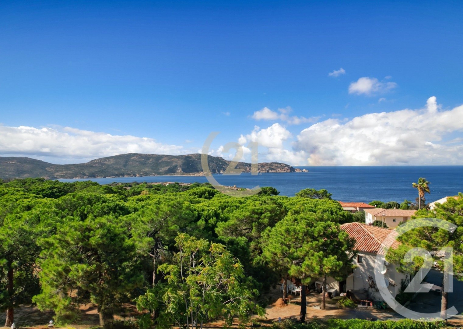 Maison de luxe à vendre à Calvi