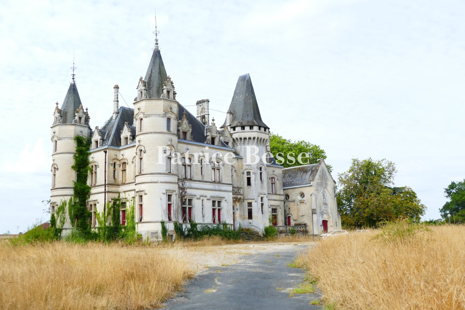 Castle for sale in Angoulême