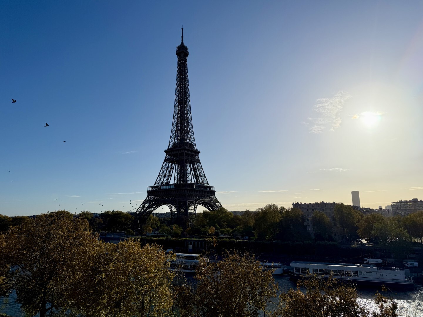 Luxury apartment for sale in the district Muette Nord