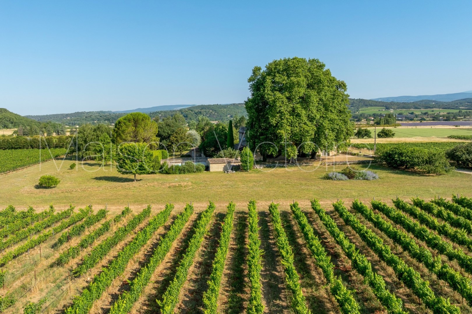 Mas à vendre à Lacoste