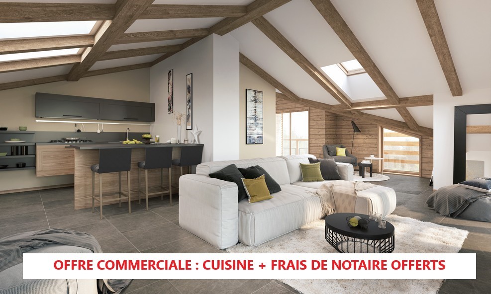 Program neuf Horizon Les Gets - Les Gets