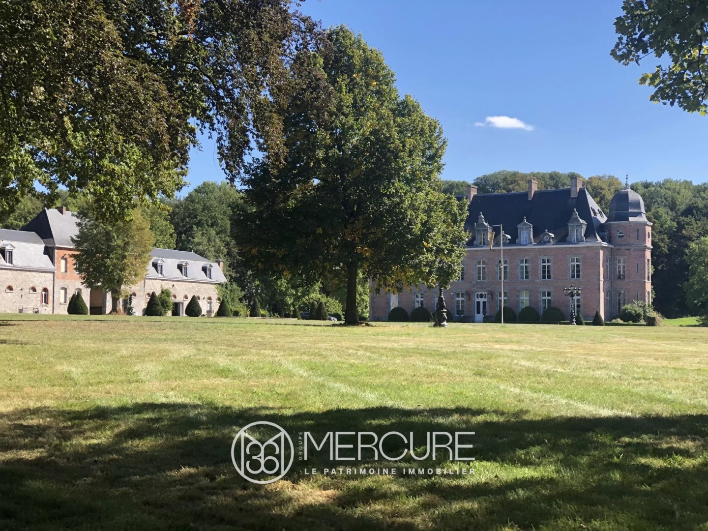 Château à vendre à Avesnes-sur-Helpe