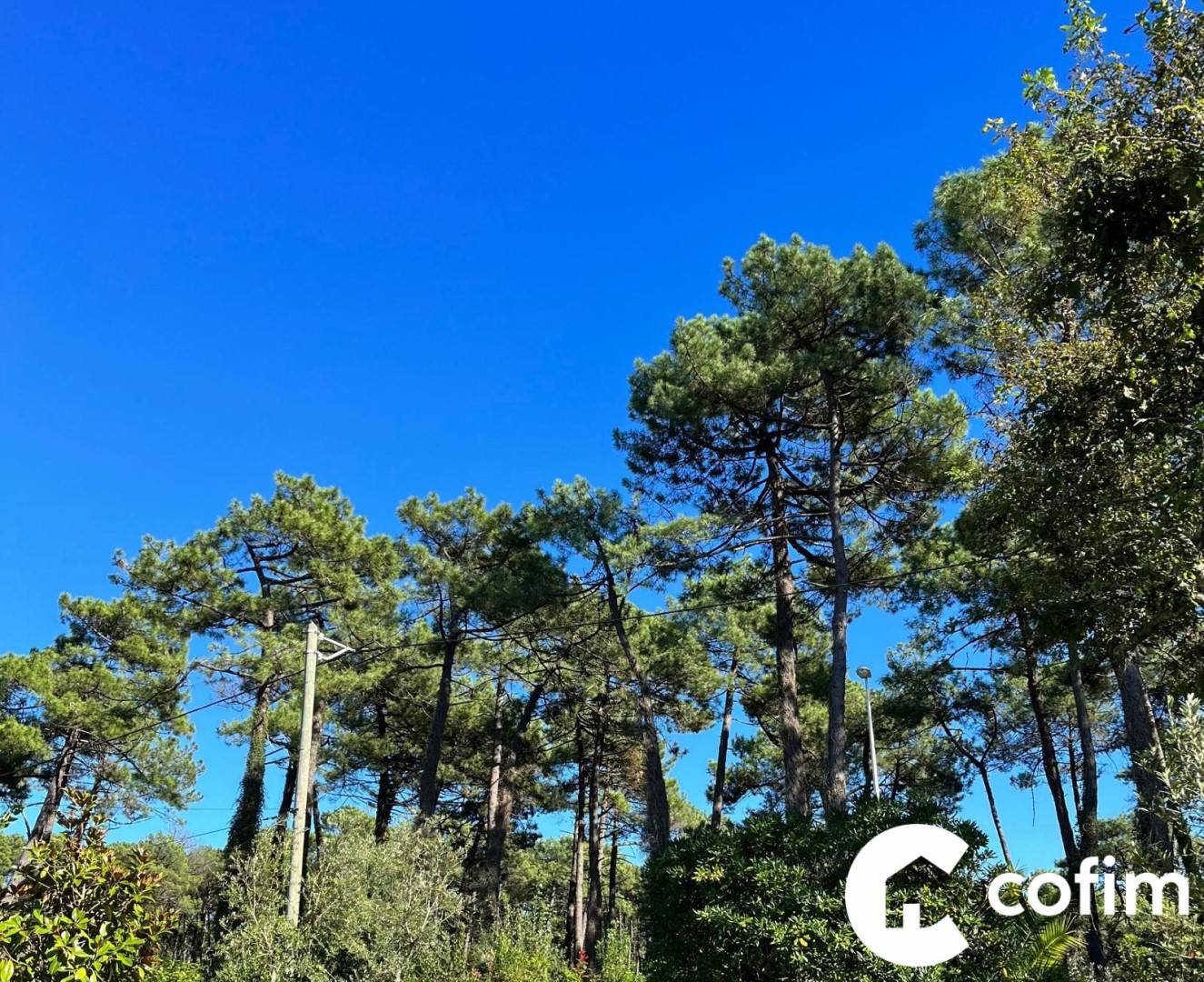 Maison contemporaine à vendre dans le quartier Butte Aux Cailles-Refuge-Montbrun