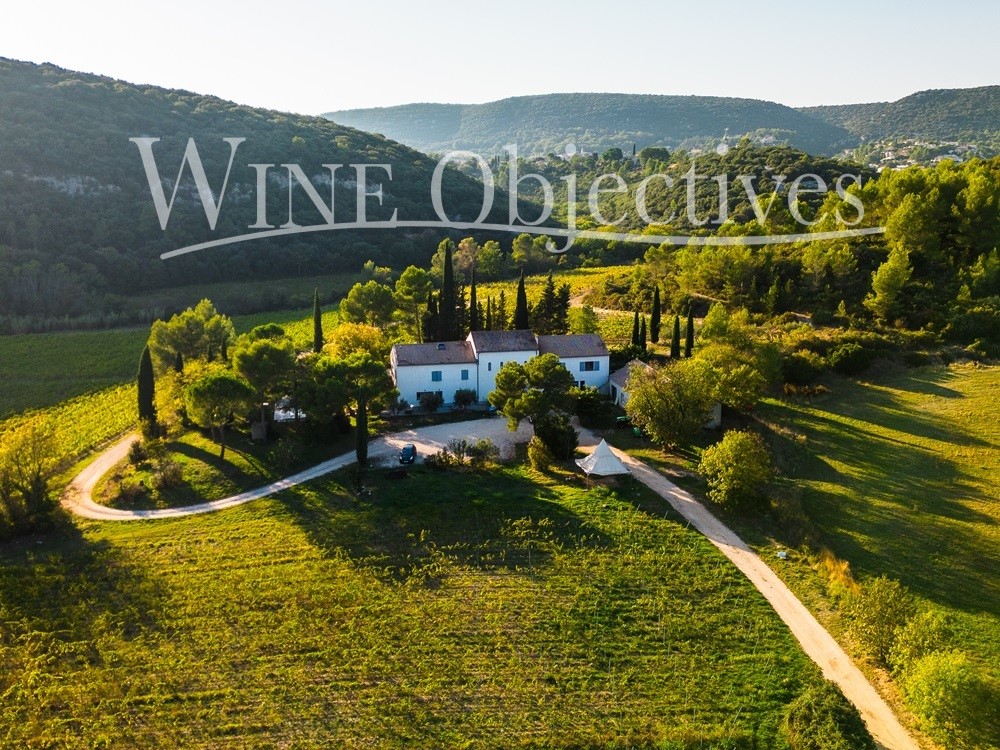 Wine Property for sale in Vailhauquès