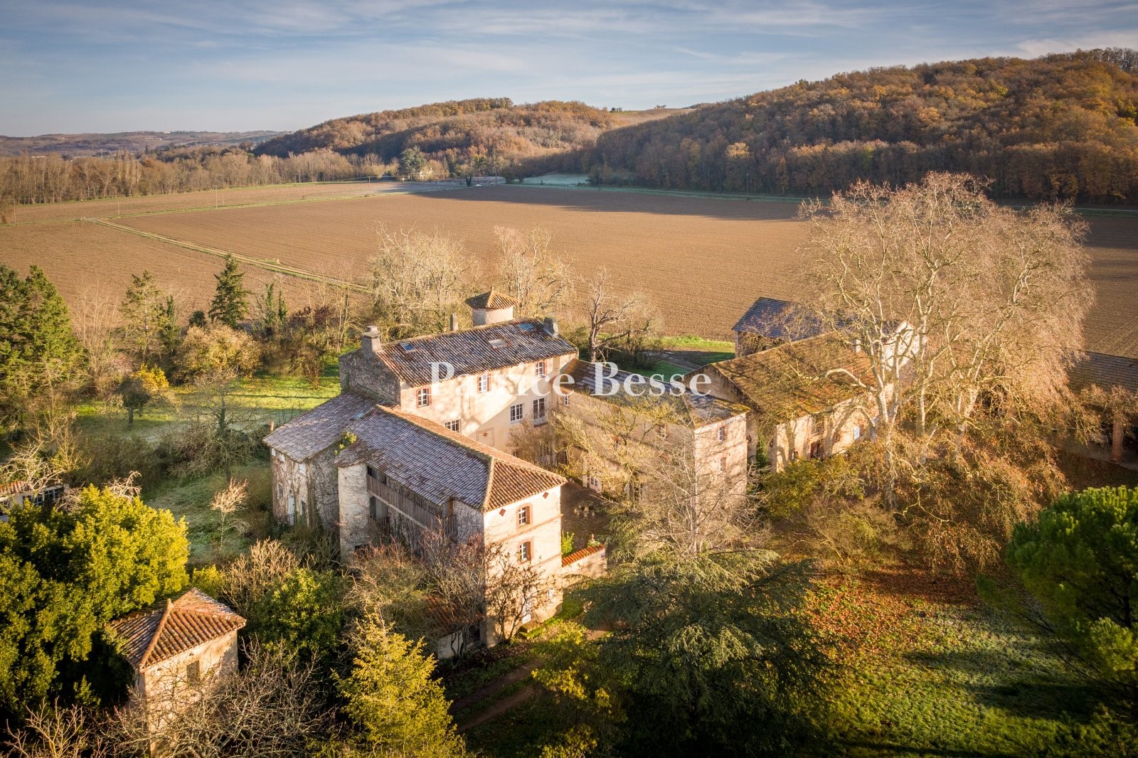 Castle for sale in Gaudiès