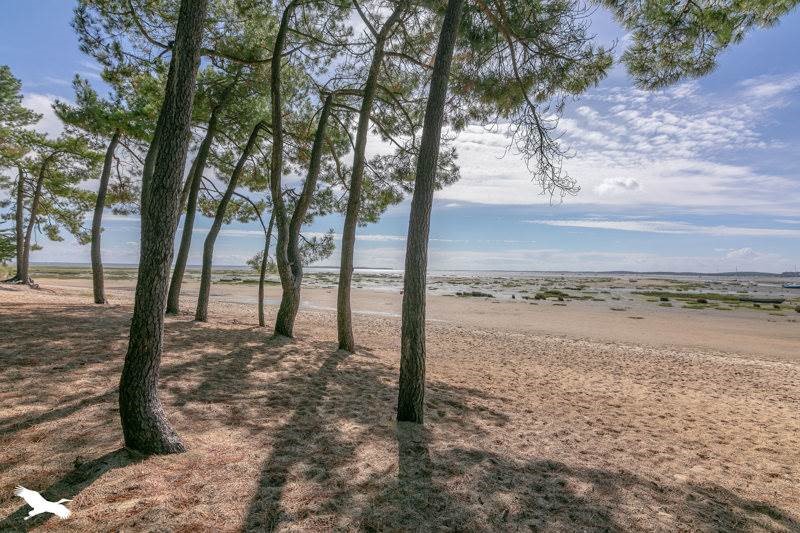 Luxury house for sale in Arès