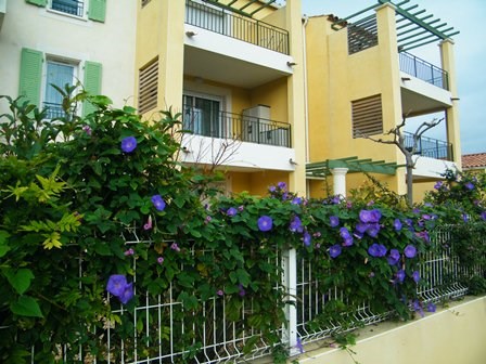 Vente Studio Narbonne Plage 99000 Appartement F1t11