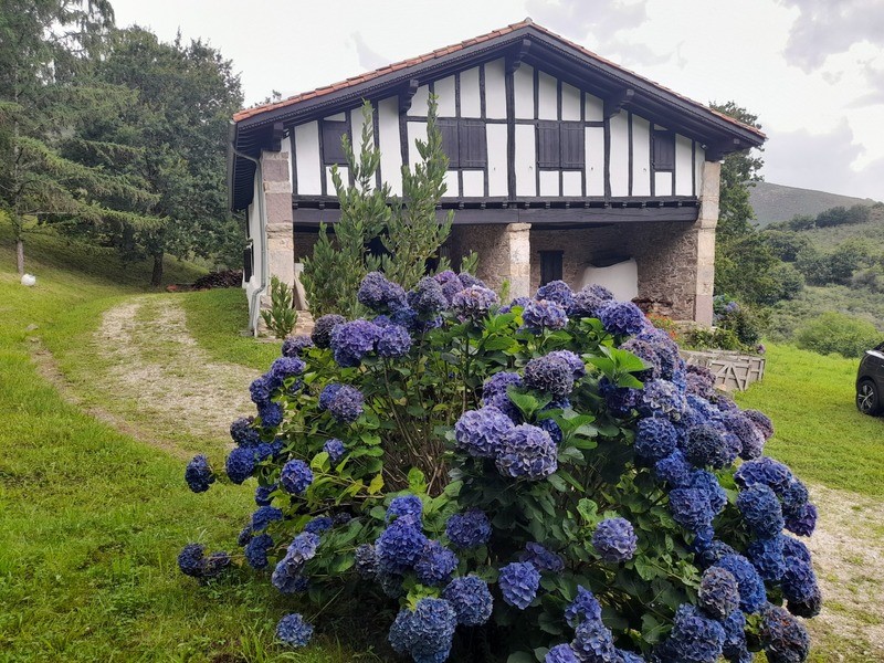 proprietà in vendita Sare