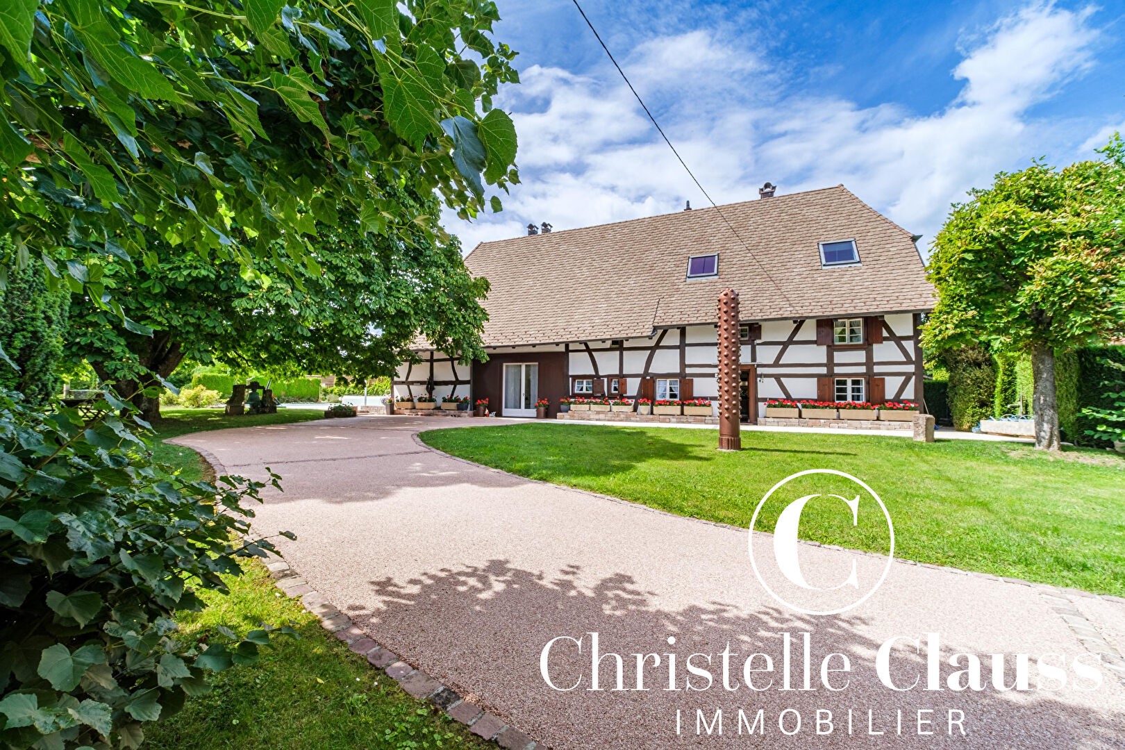 Luxury villa for sale in Elbach