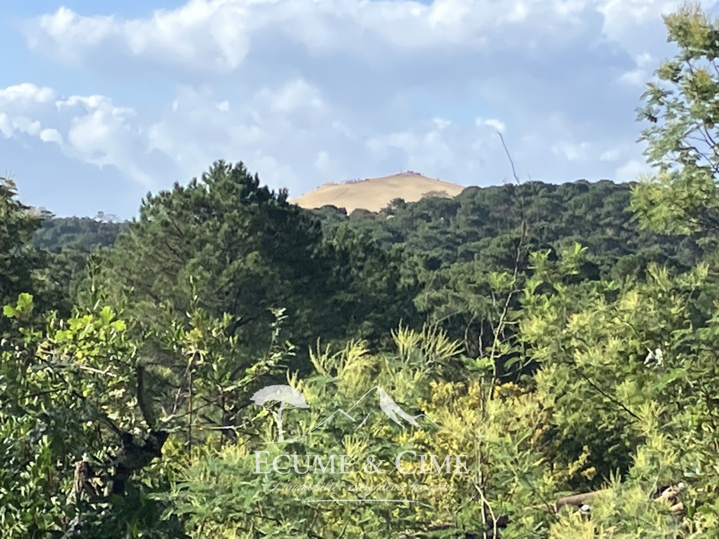 Luxury villa for sale in Pyla sur Mer