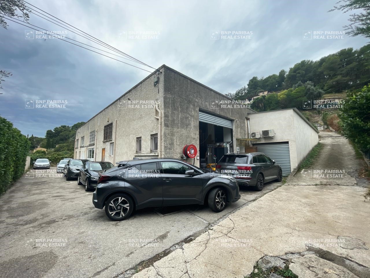 Local d'activité
