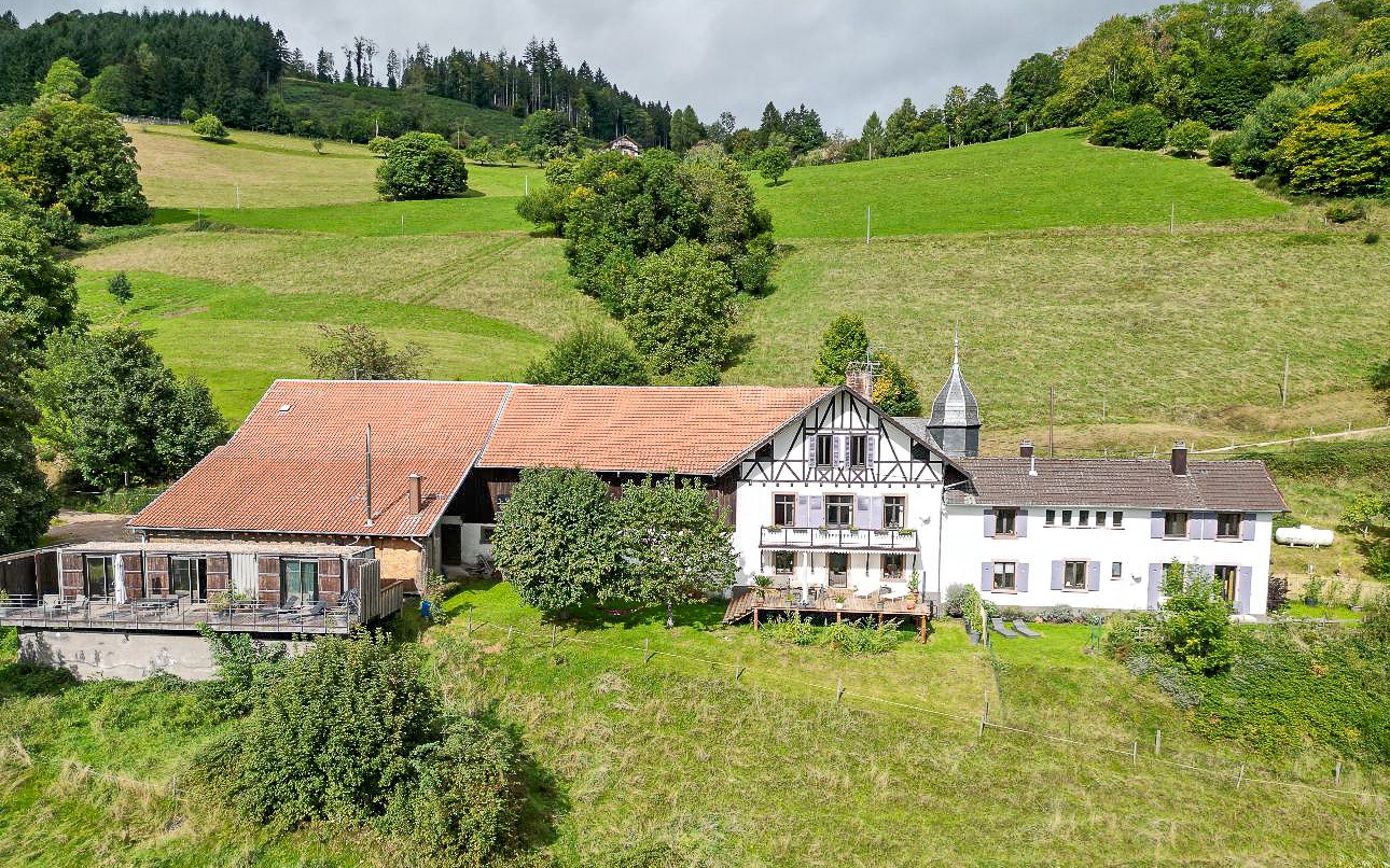 Maison de luxe à vendre à Saint-Dié-des-Vosges