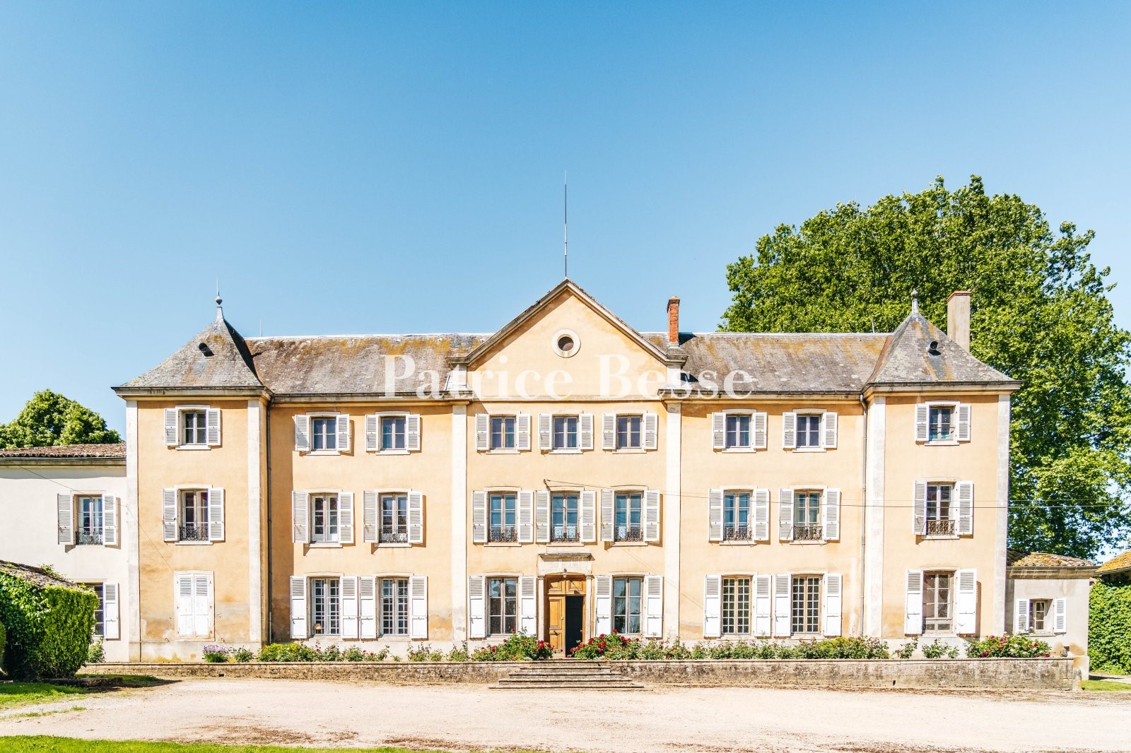 Castle for sale in Biziat