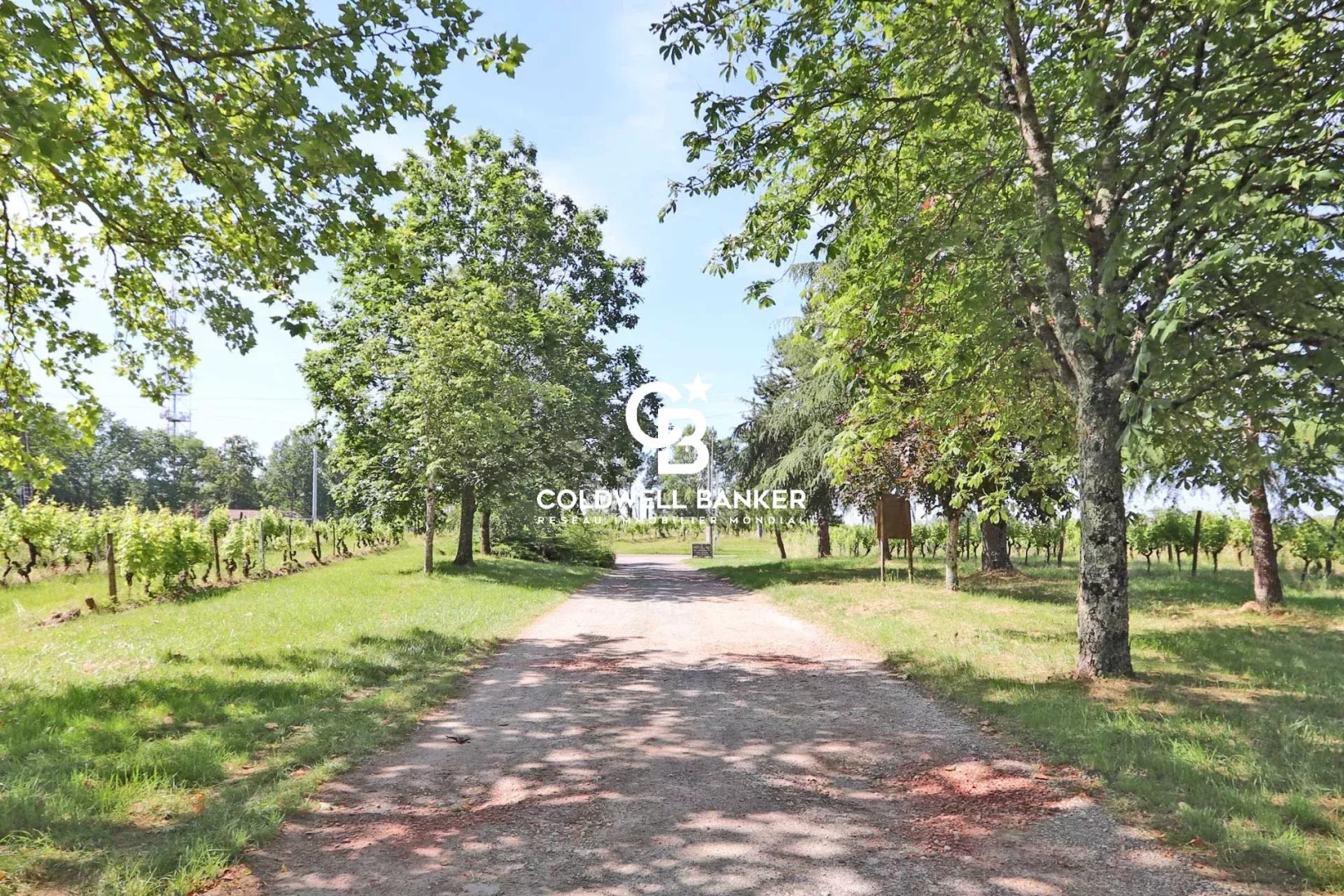 Weingut zu verkaufen Bergerac
