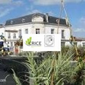 1re photo de l'annonce