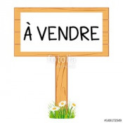 Vente Local commercial Panazol