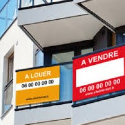 1re photo de l'annonce
