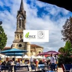 2e photo de l'annonce