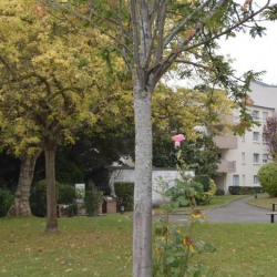 165 Annonces De Vente D Appartements Chatou 78 Seloger Com 165 Annonces De Vente D Appartements Chatou 78 Seloger Com