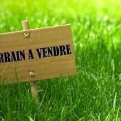 3e photo de l'annonce