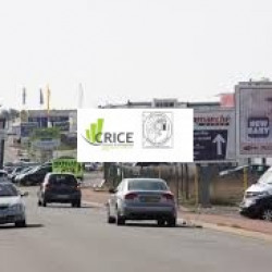 2e photo de l'annonce