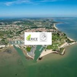 3e photo de l'annonce