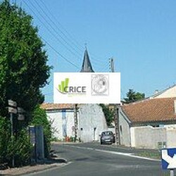 2e photo de l'annonce