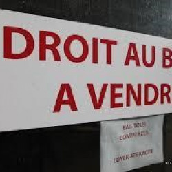 3e photo de l'annonce