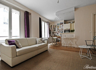 acheter appartement 75015