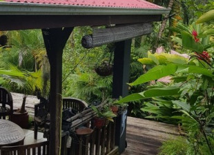 investir immobilier guadeloupe