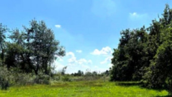 Photo de la propriété