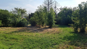 Photo de la propriété