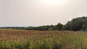 Photo de la propriété