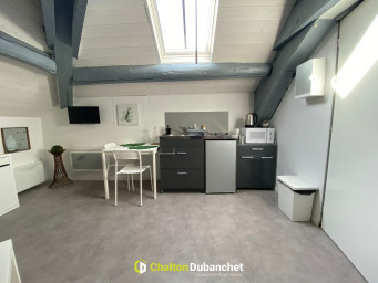 Appartement a louer roanne - 1 pièce(s) - 15 m2 - Surfyn