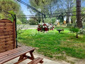 Appartement a louer arles - 1 pièce(s) - 27.44 m2 - Surfyn